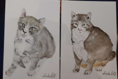 Katzen