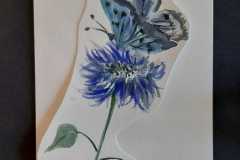 Blume mit Schmetterling