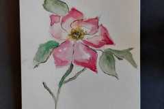 Blume