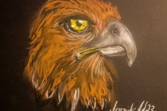 Adler