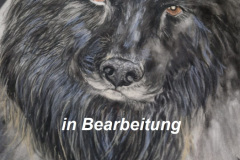 Hund