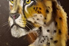 2023.09.05-Gepard