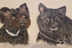Hunde