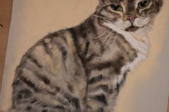 Katze-2