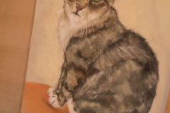 Katze-1