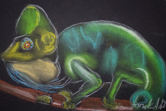 Camelion