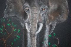 Elefant