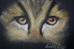 Gepard