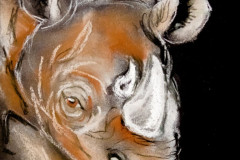 Nashorn
