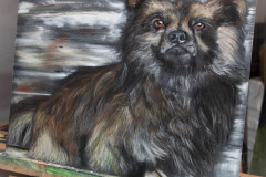 Hund